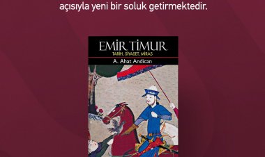 Emir Timur Tarih, Siyaset, Miras