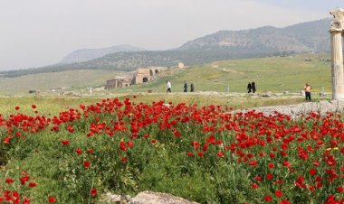 Hierapolis Antik Kenti'nin 41 eseri İtalya'de sergilenecek.