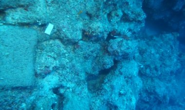 Dünyanın bilinen en eski batığı Antalya'da keşfedildi