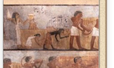 Yeni Yayın -- Tarihöncesinden Bugüne Akdeniz Dünyası ve Doğa Kriz Çağına Nasıl Geldik?