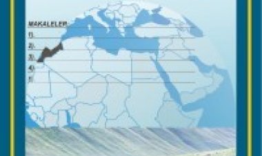 Tturkiye-tarihciler Yeni Dergi Duyurusu