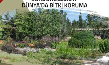 Sahada Seminer: Sürdürülebilir Dünya’da Bitki Koruma