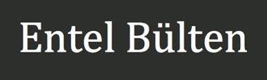 Entel Bülten