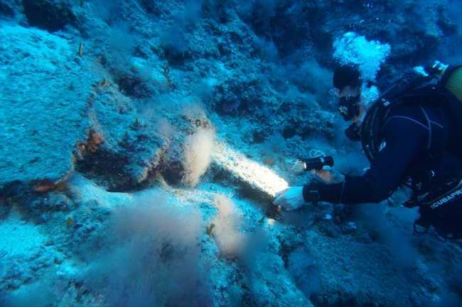 Dünyanın bilinen en eski batığı Antalya'da keşfedildi