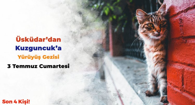 ÜSKÜDAR'DAN KUZGUNCUK'A YÜRÜYÜŞ GEZİSİ